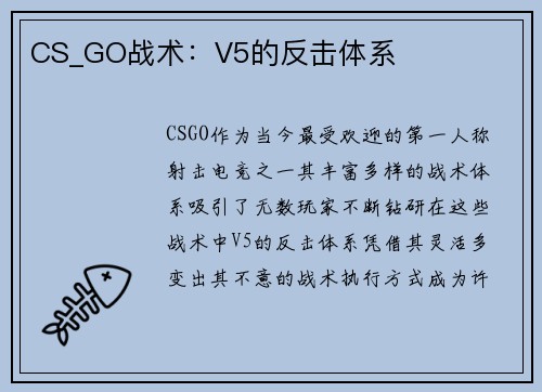 CS_GO战术：V5的反击体系