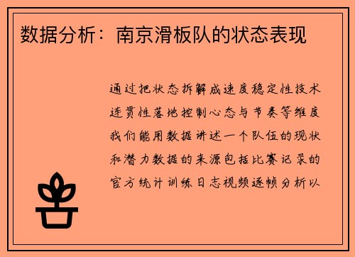 数据分析：南京滑板队的状态表现